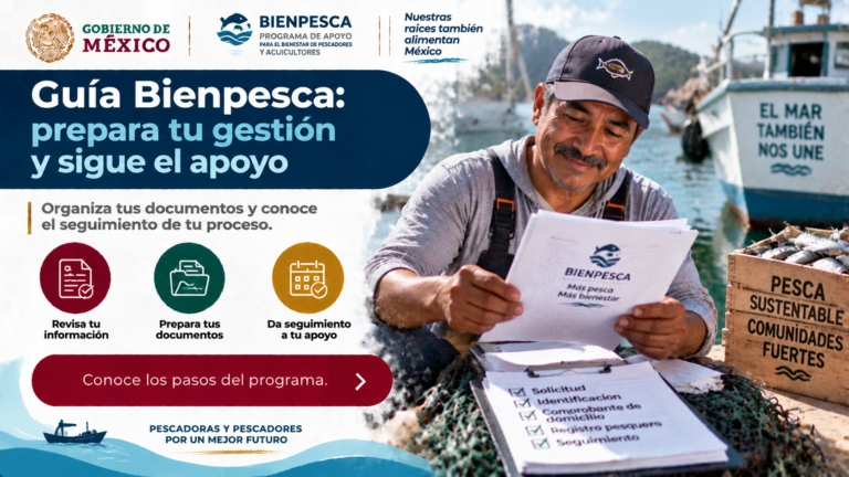 Guía bienpesca: prepara tu gestión y sigue el apoyo